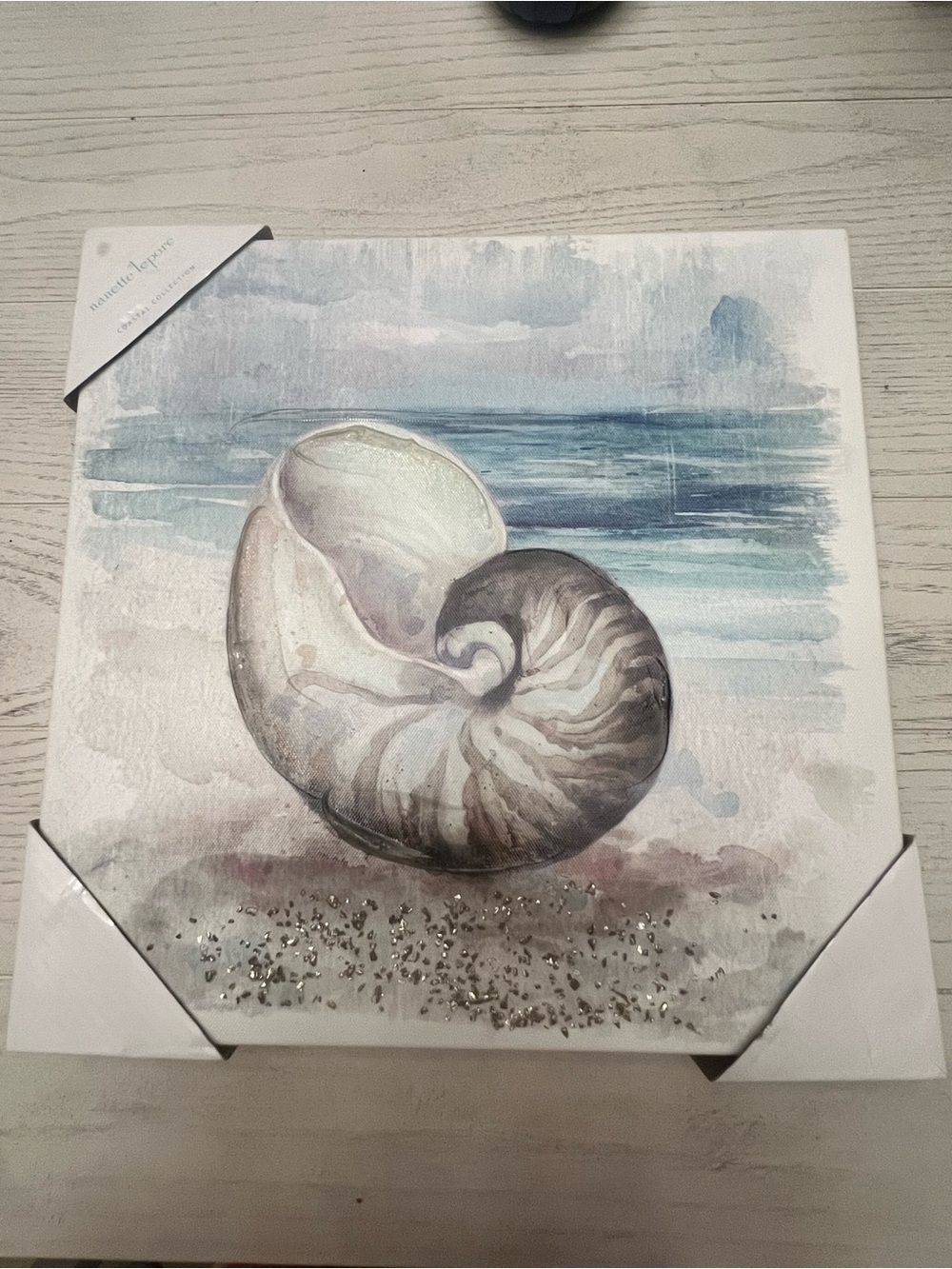 Nanette Lepore Coastal Collection Nautilus Shell Canvas Art - NWT!